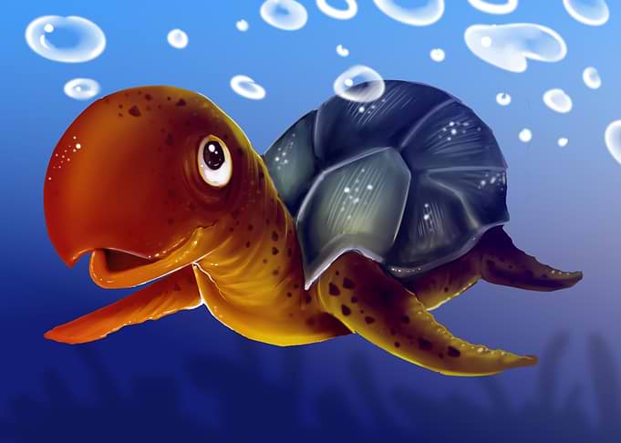 turtle