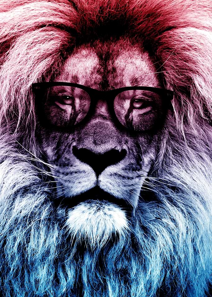 Hipster lion