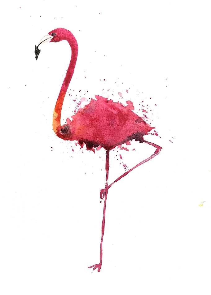 Animal