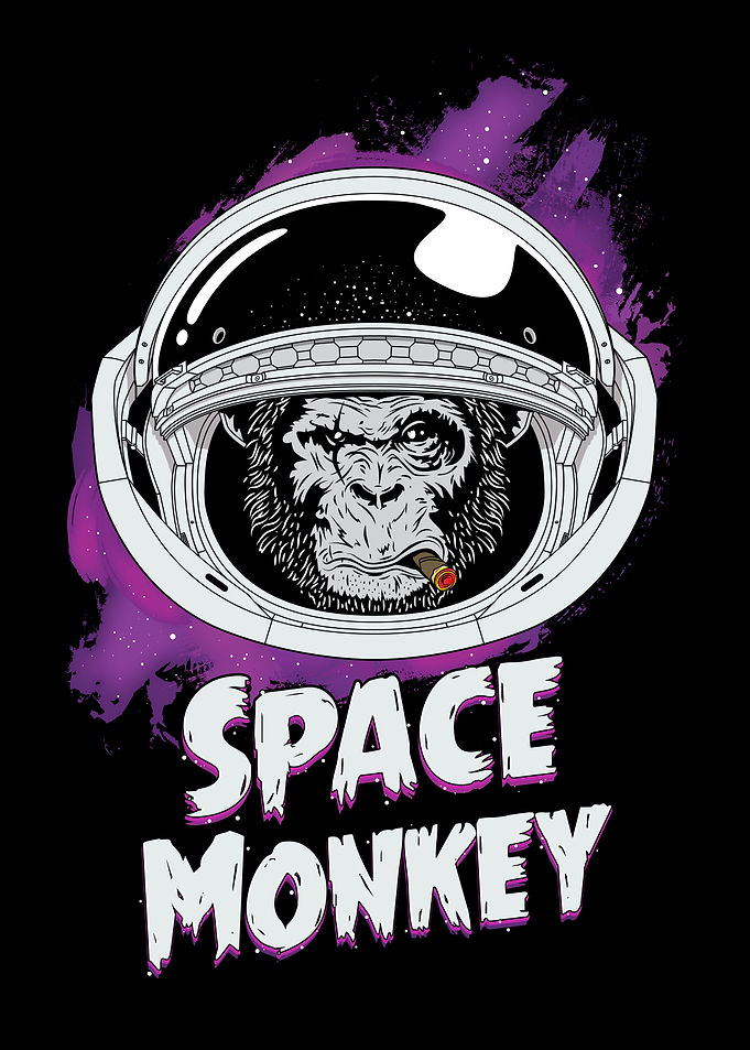 Space Monkey