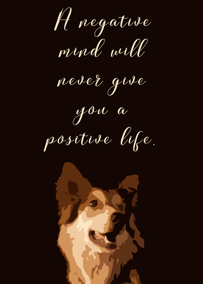 Positive Life Quote