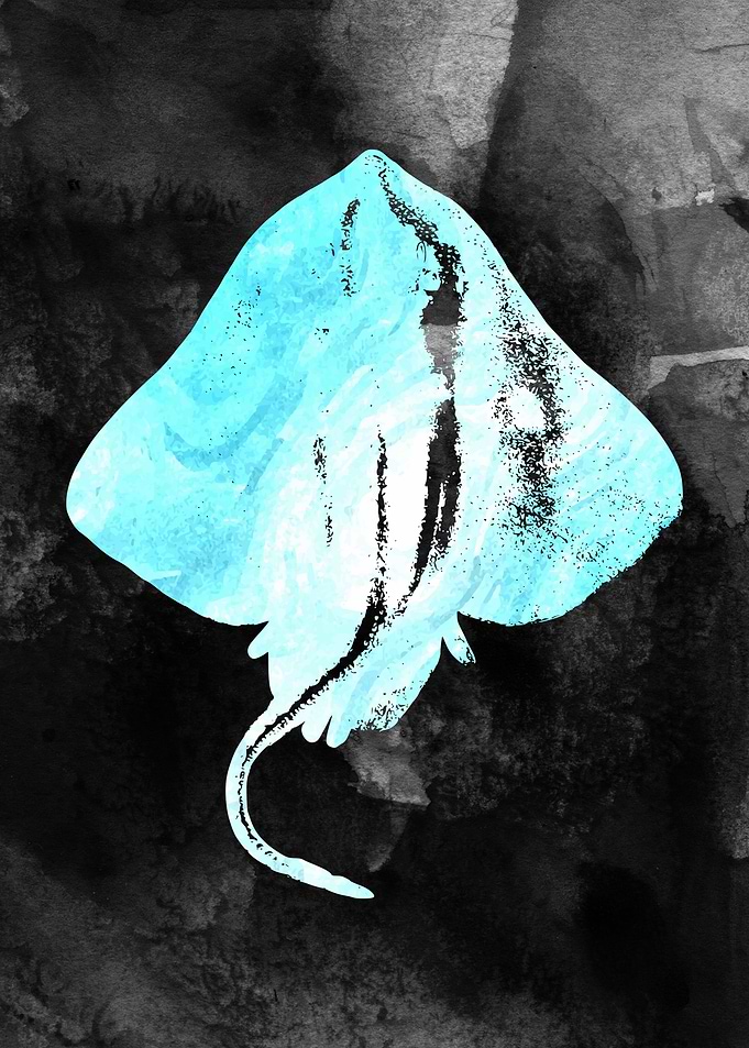 Stingray