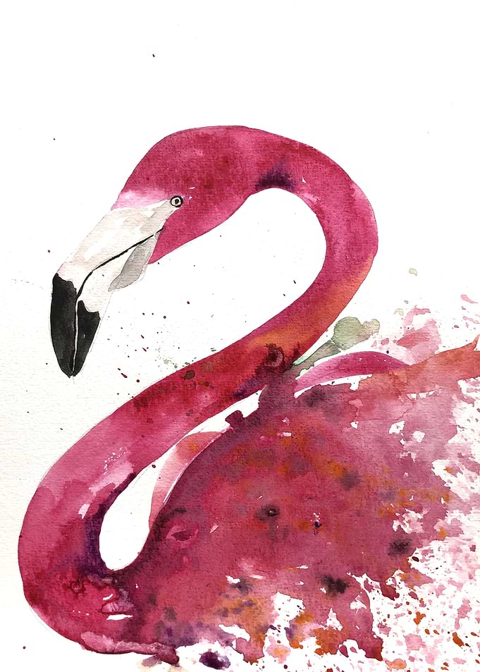 Animal
