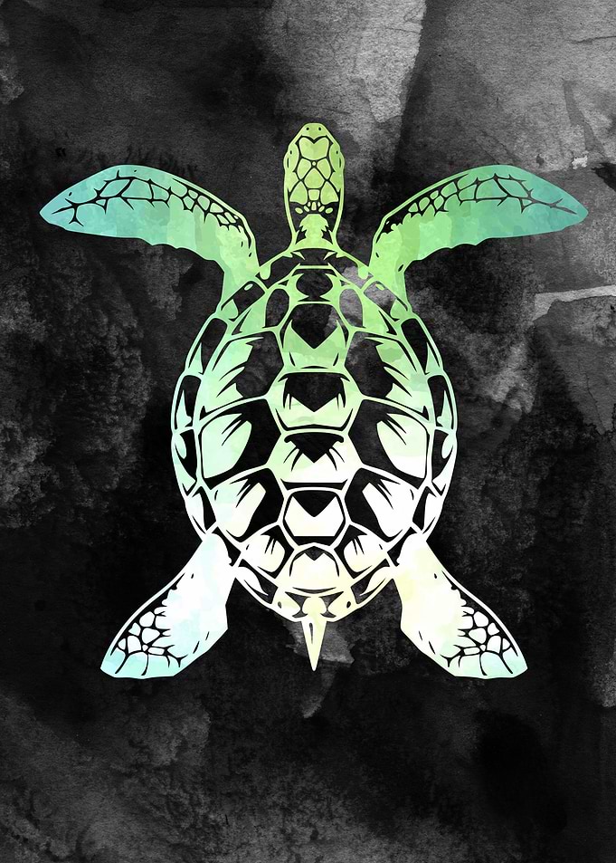Sea Turtle
