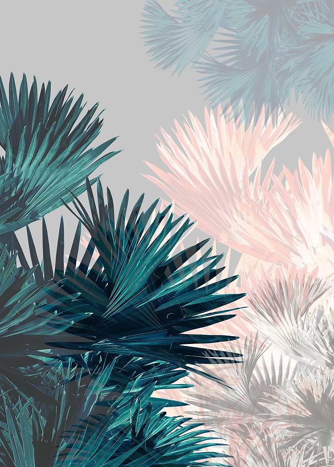 Surreal Tropical 2