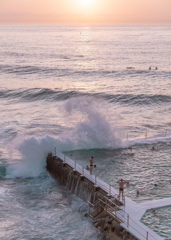 Bondi sunrise swim