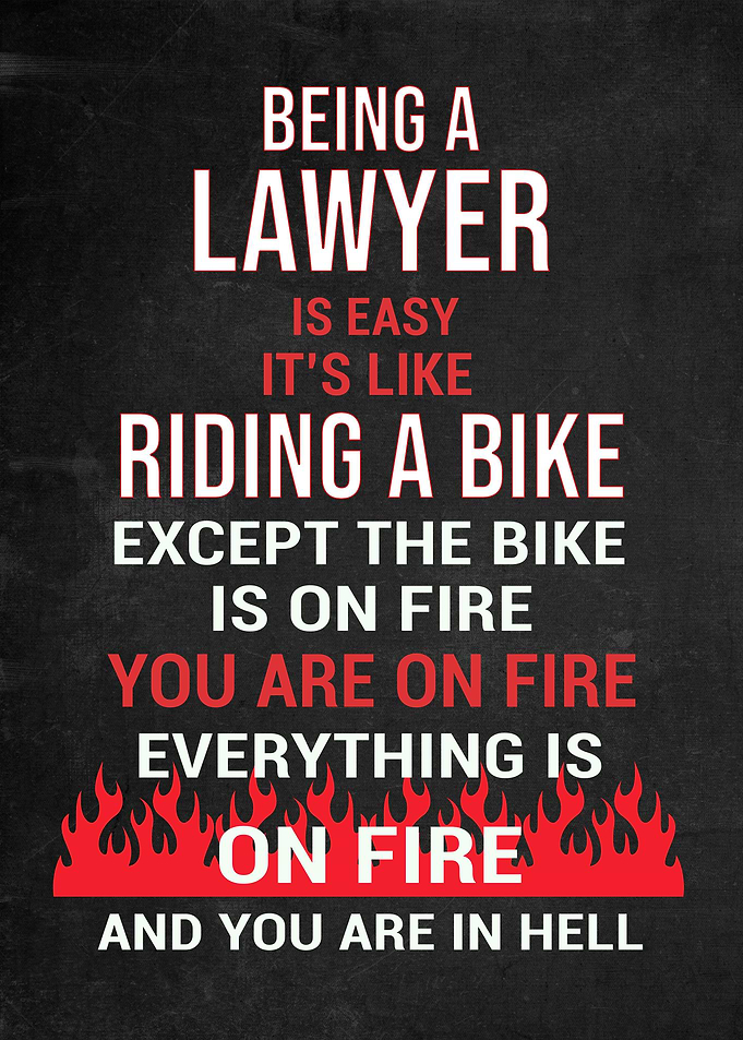 Lawyer Funny Gift
