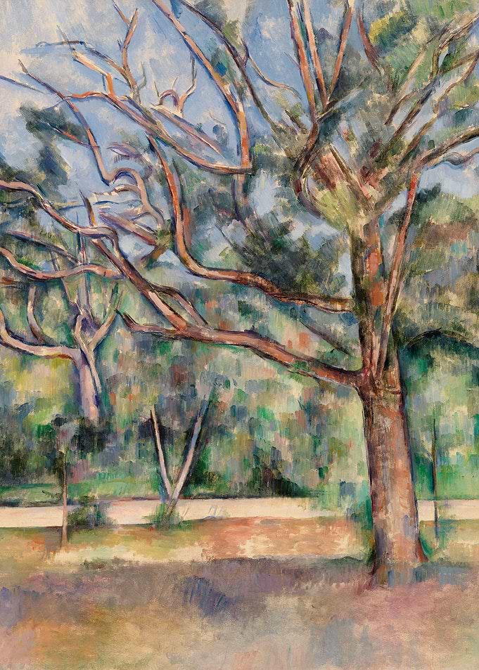 Trees and Road