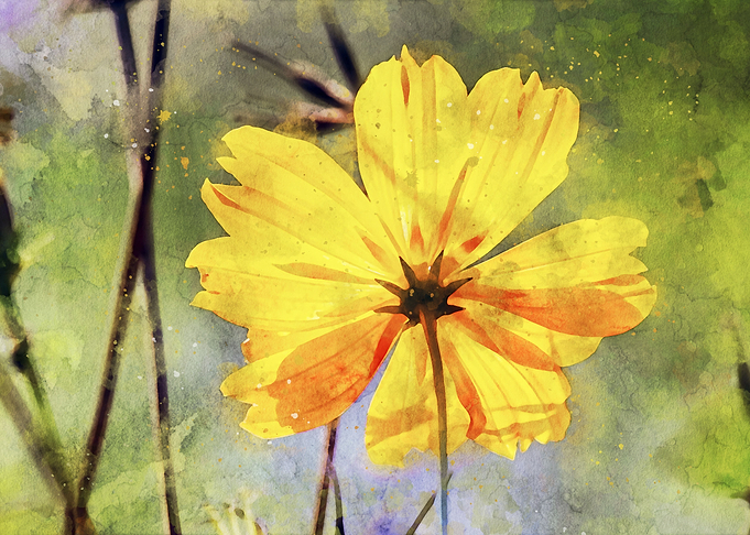 The Yellow Flower