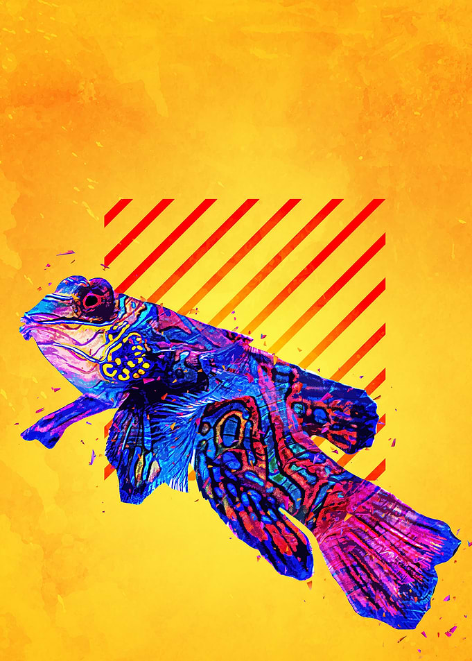 Colorful Fish