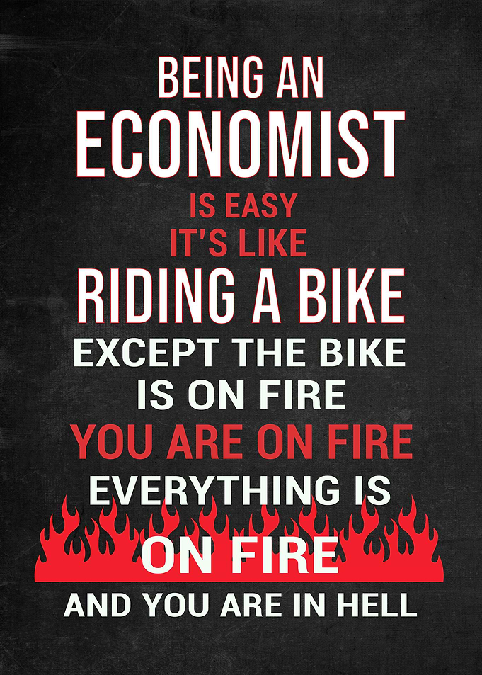 Economist Funny Gift