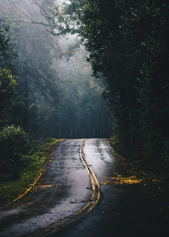 Autumn Road