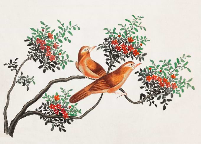 birds of China