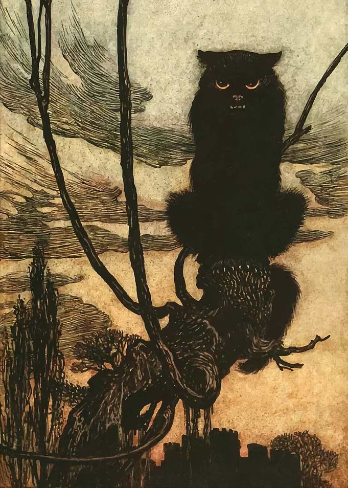 The Black Cat