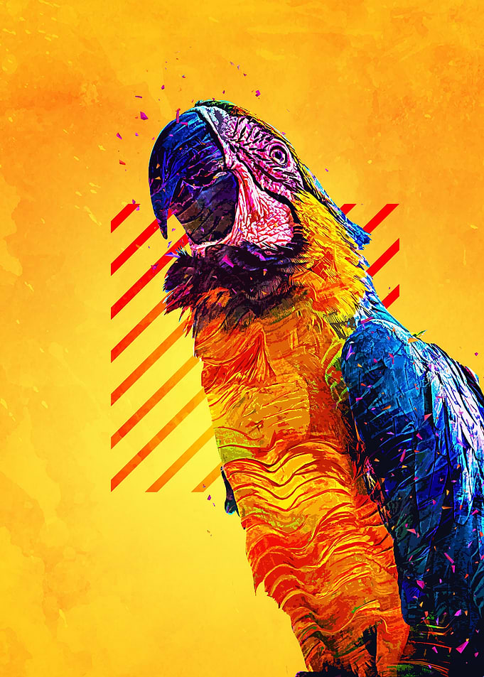 Macaw Parrot