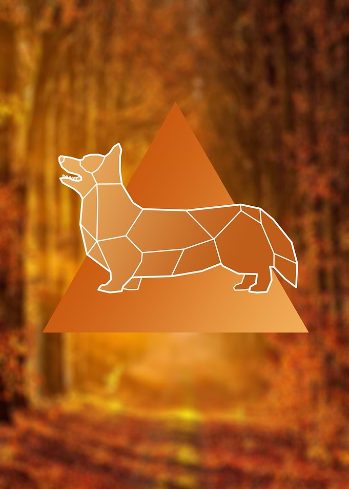Geometric Corgi