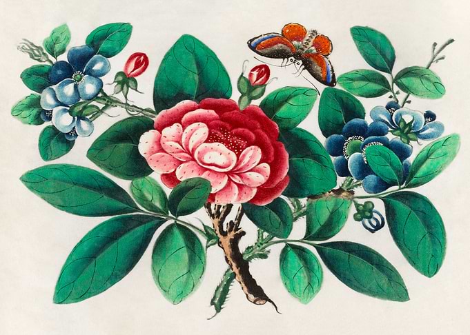 flowers and butterfly