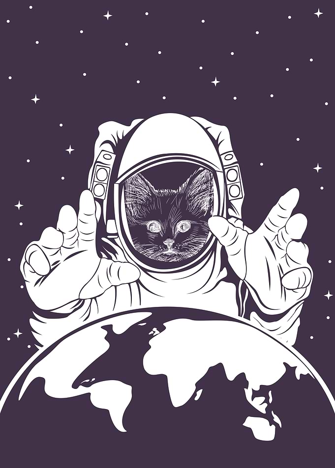 Astronaucat