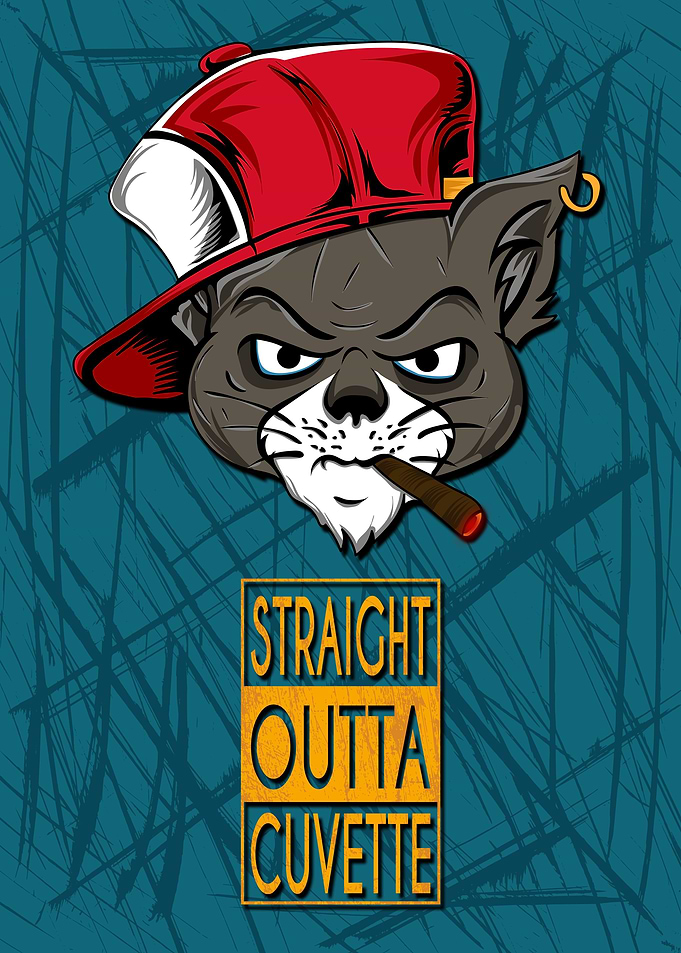 Cat Gangsta Comtpon Hiphop