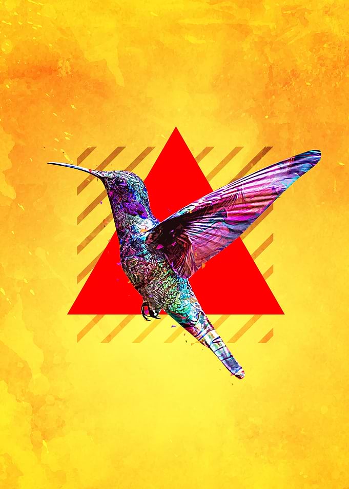 Hummingbird