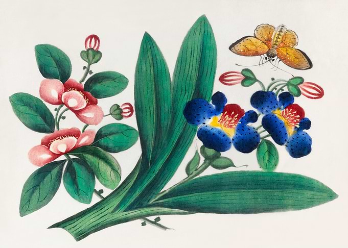 flowers and a butterfly