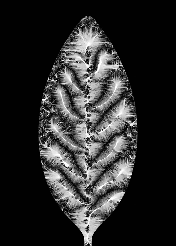 Elliptic