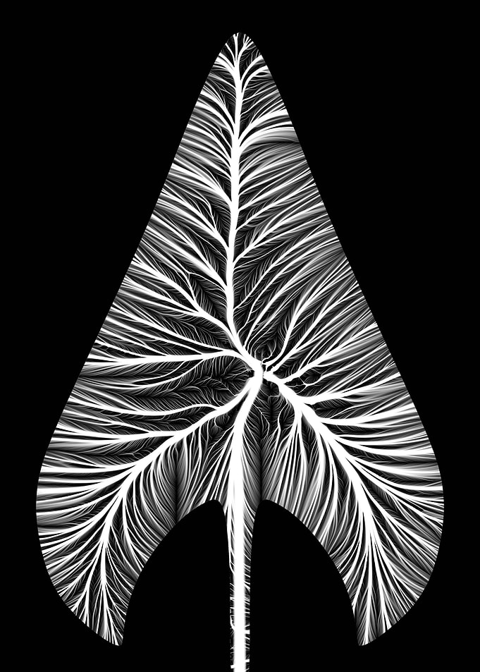 Sagittate