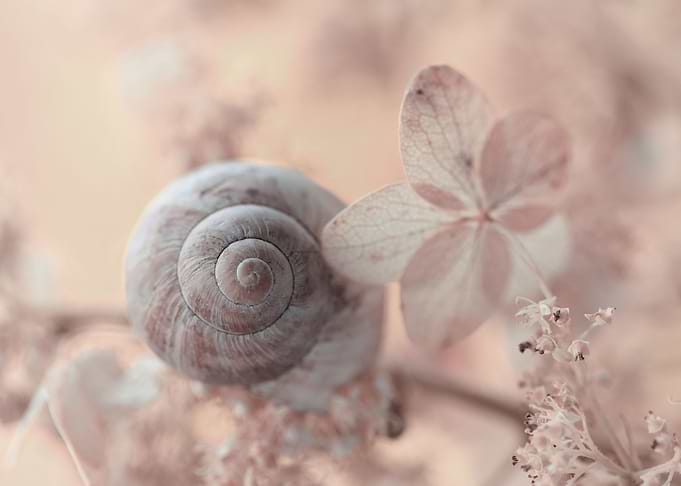 Pastel Impression