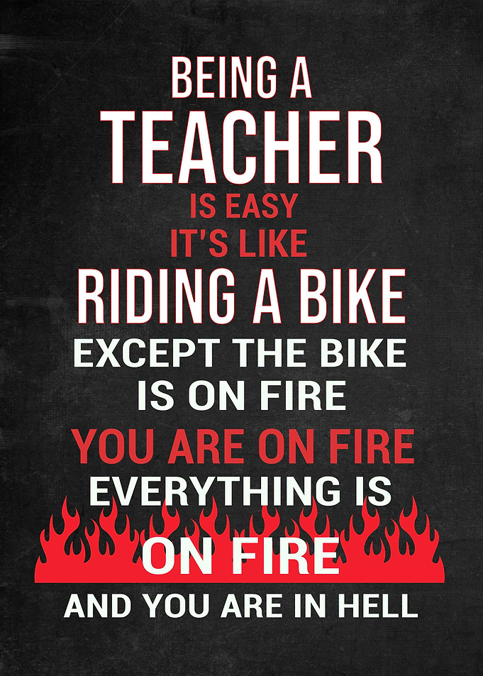 Teacher Funny Gift