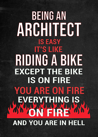 Architect Funny Gift