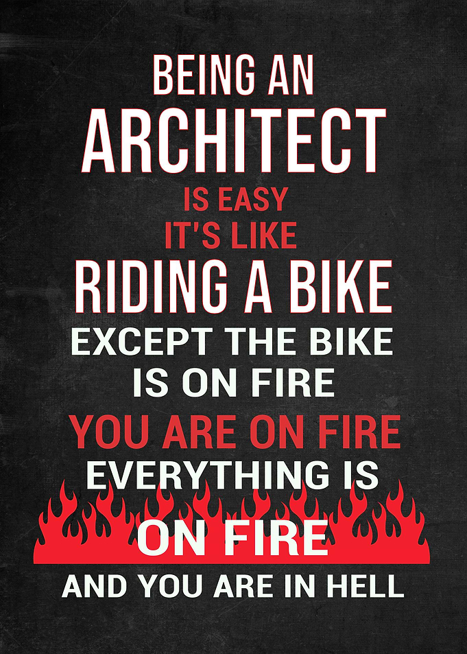 Architect Funny Gift