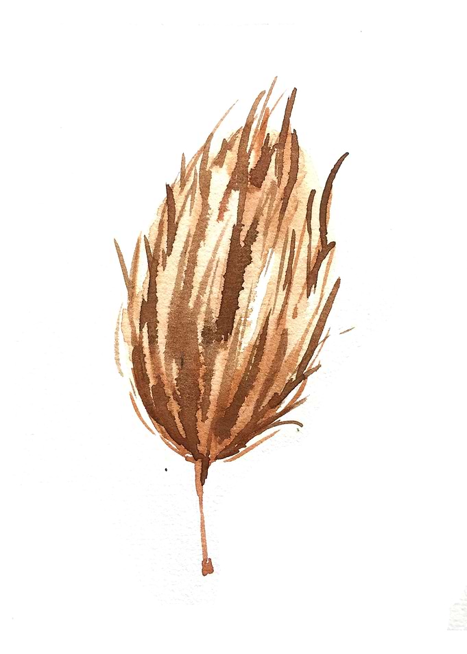 Botanical