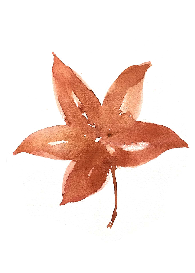 Botanical