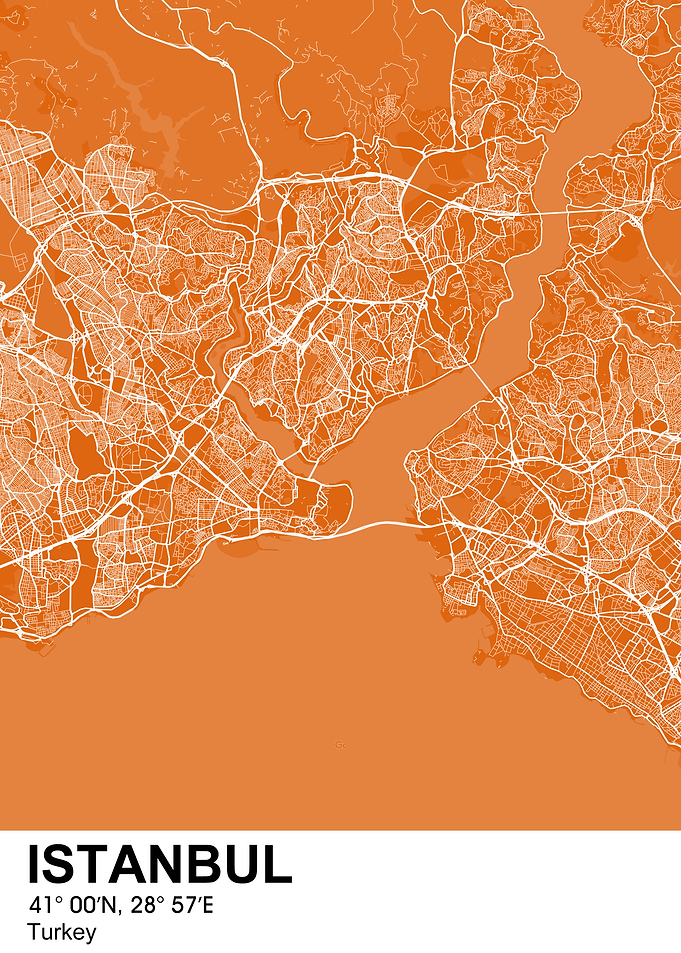 istanbul color city map