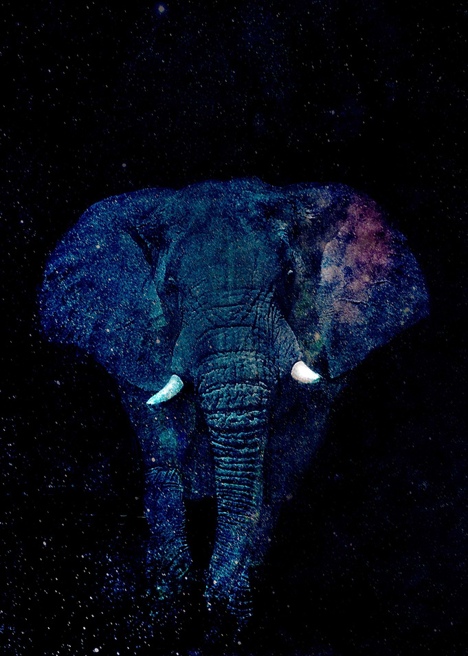 Cosmic Elephant