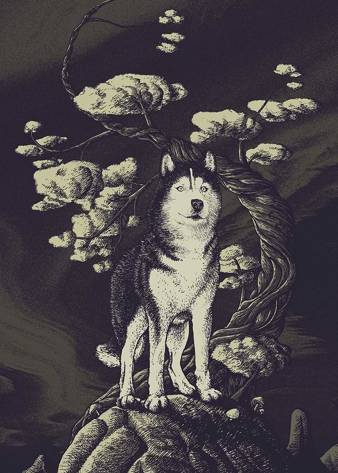 Lonely Husky