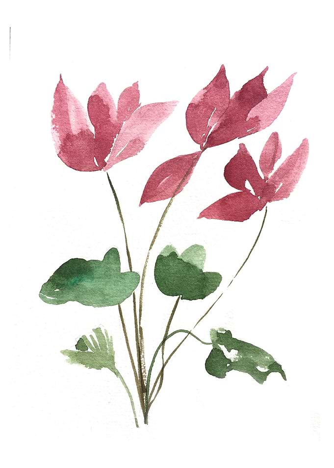 Botanical
