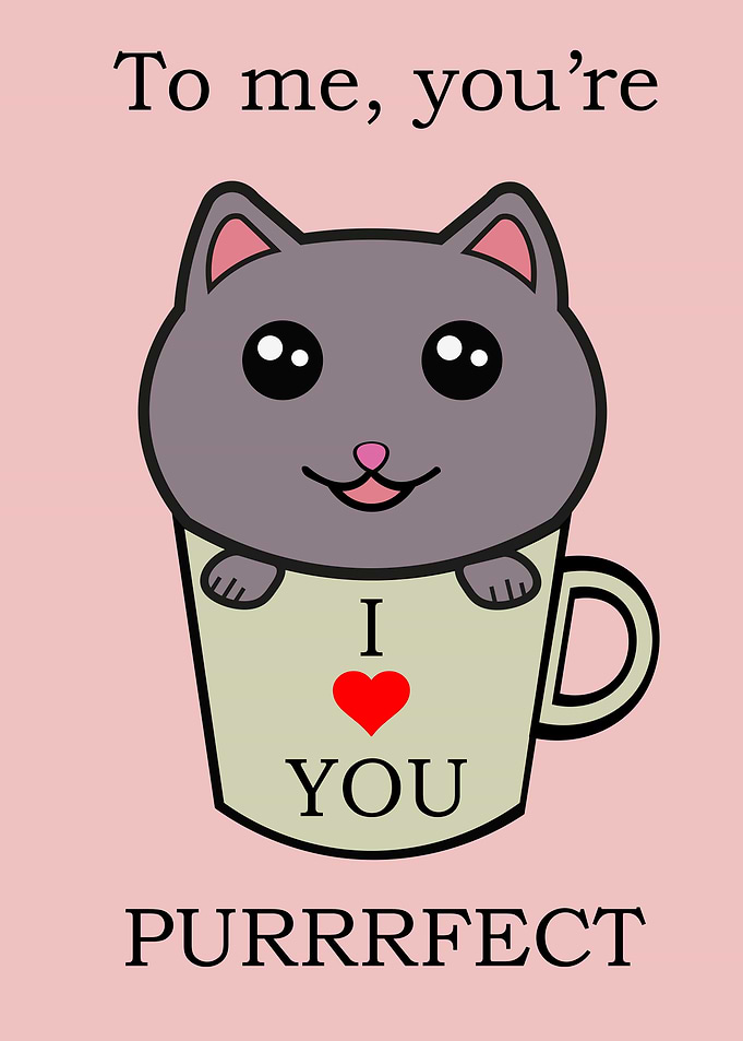 Cute Cat