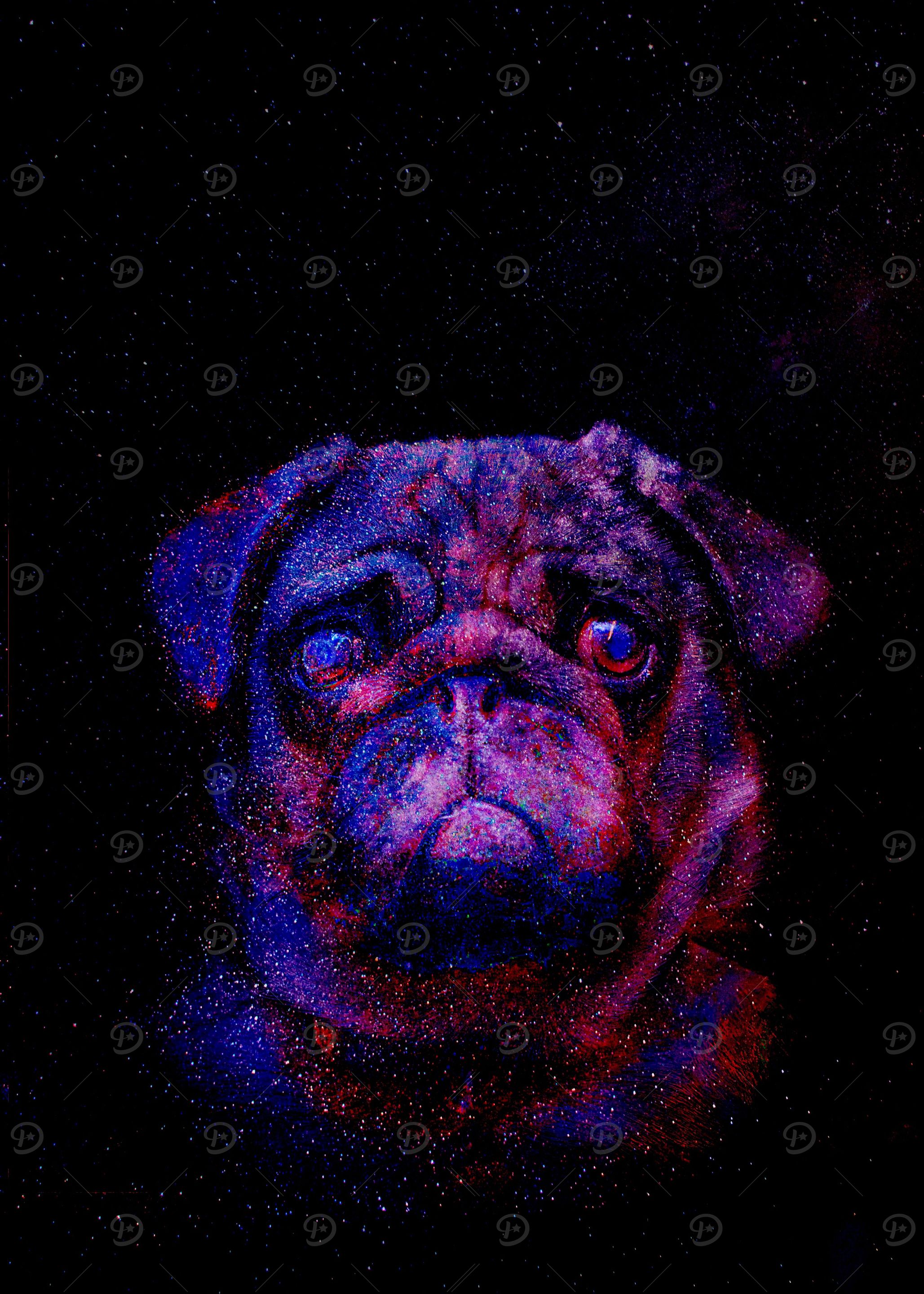 Cosmic Pug