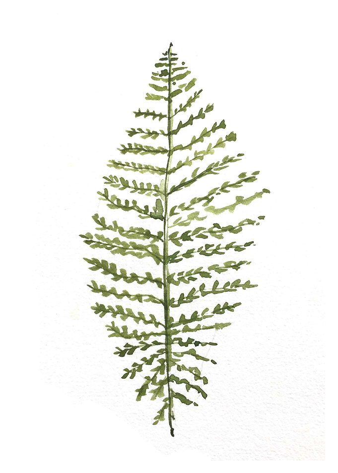 Botanical