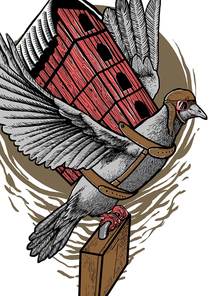 Escape Flying Bird