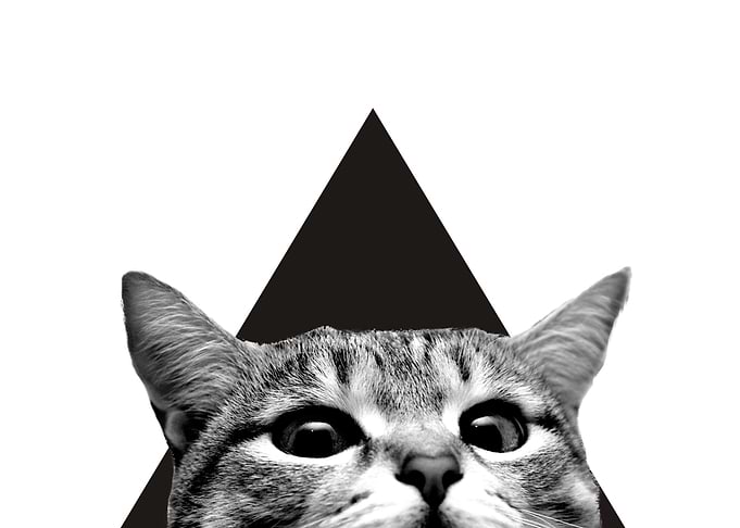 Cat Pyramid