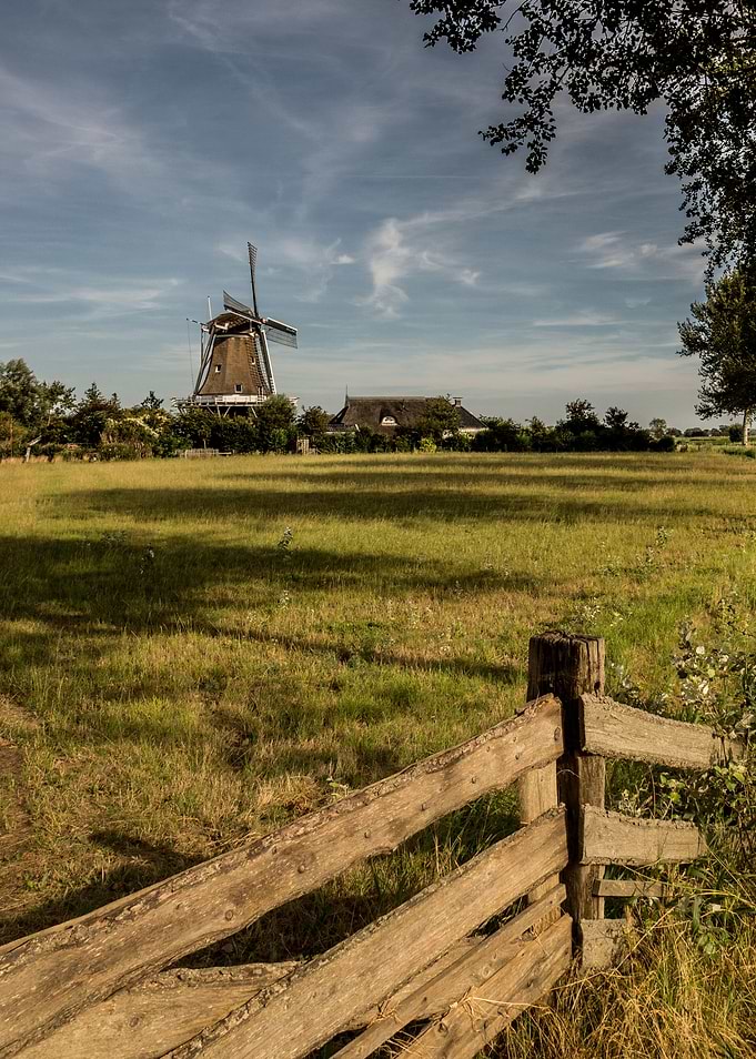Molen de Hond