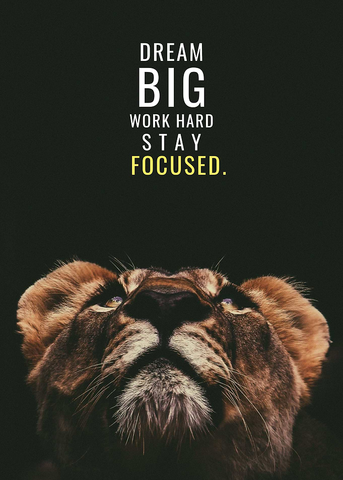 Dream Big and Work Hard