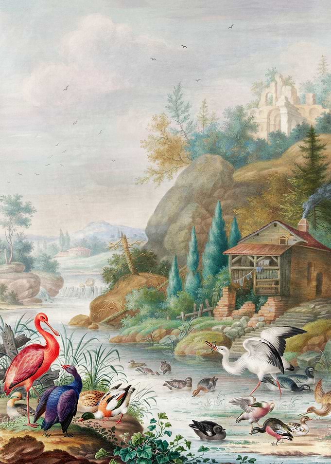 Birds near Mountain Stream