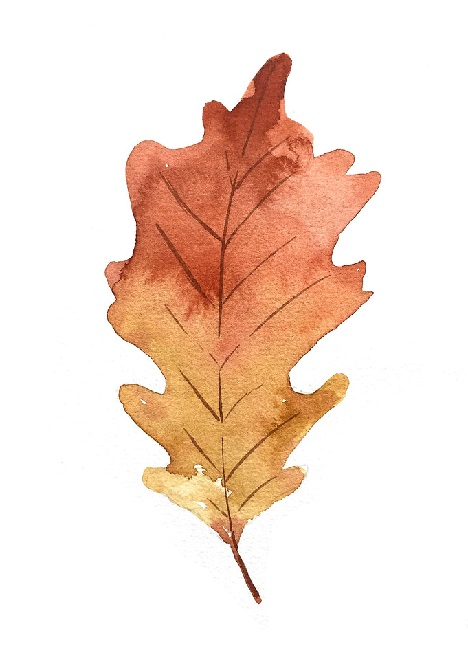 Botanical