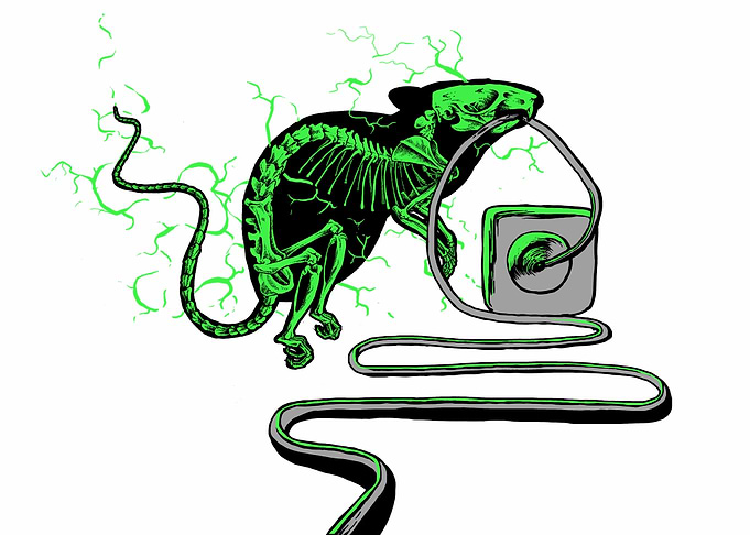 Electric Mouse