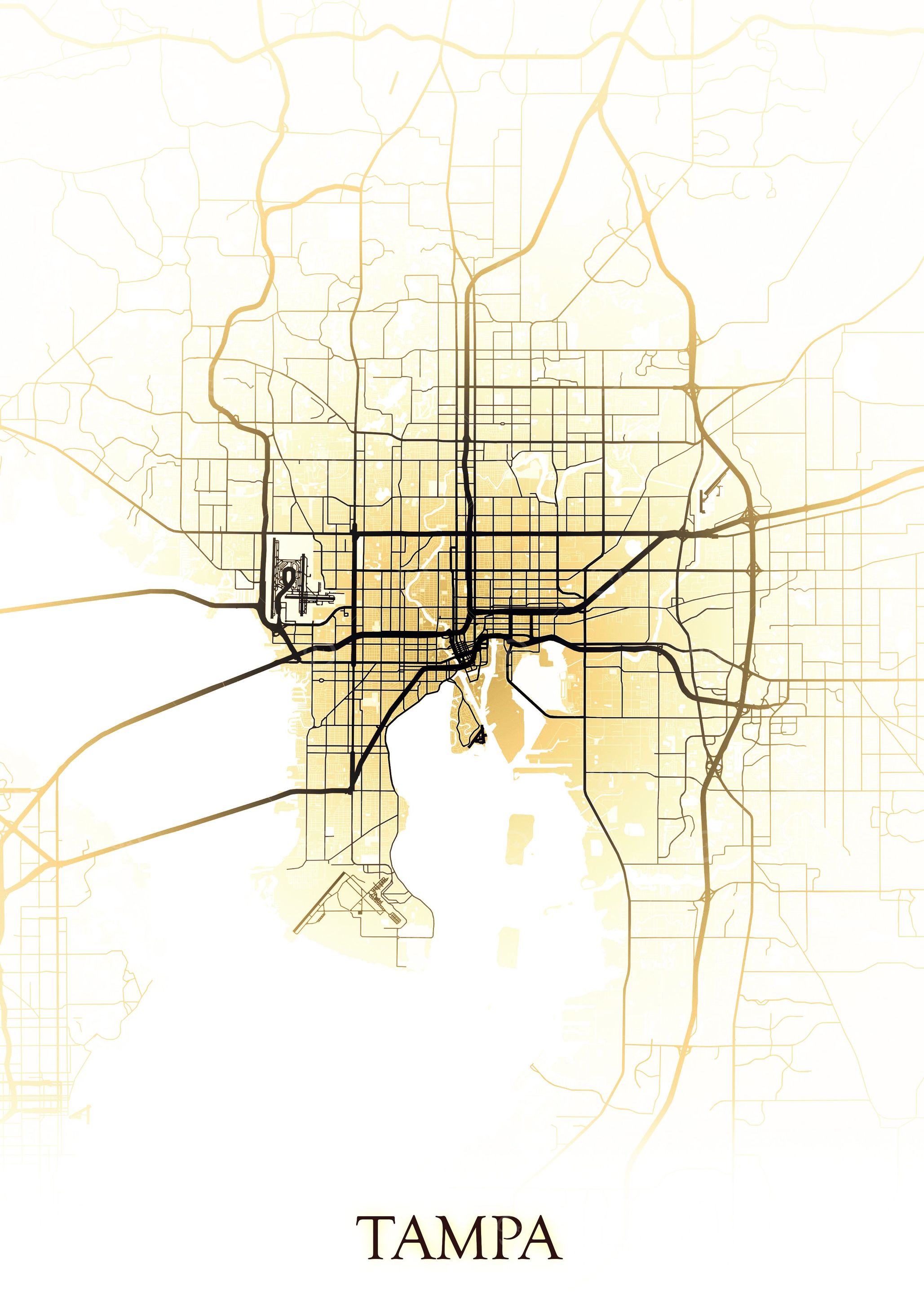 Tampa Map