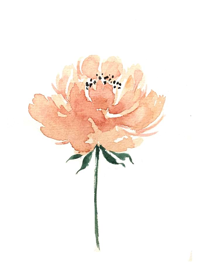 Botanical