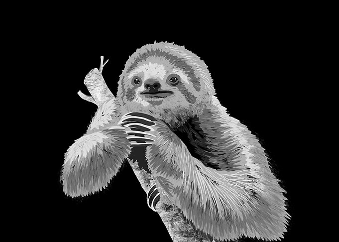 Sloth
